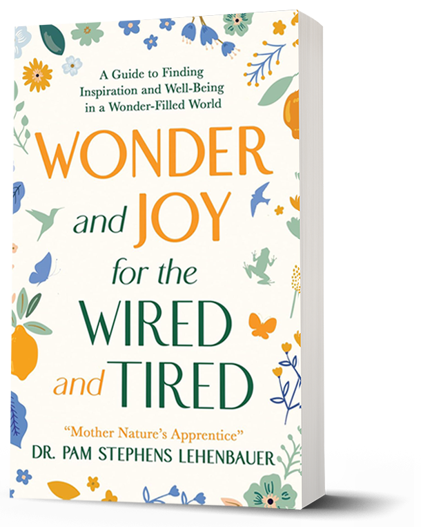 Wonder and Joy for the Wired and Tired