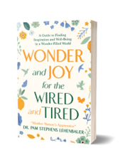 Wonder and Joy for the Wired and Tired: A Guide to Finding Inspiration and Well-Being in a Wonder-Filled World